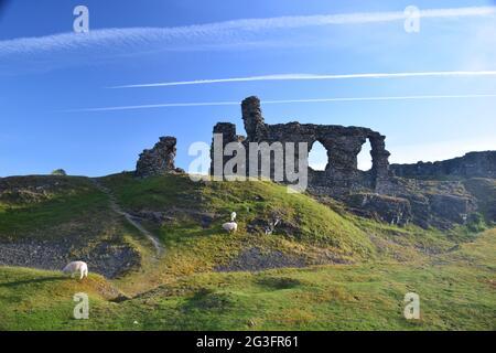 Castell Dinas Bran um 1260, auf dem Gelände eines bronzezeitalterlichen Hügels mit Blick auf den Llangollen mit Blick auf die Berwyn und die Clydian Ranges im Sommer. Stockfoto