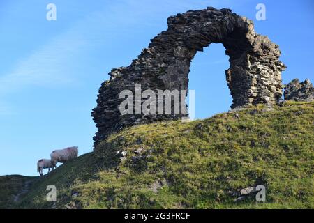 Castell Dinas Bran um 1260, auf dem Gelände eines bronzezeitalterlichen Hügels mit Blick auf den Llangollen mit Blick auf die Berwyn und die Clydian Ranges im Sommer. Stockfoto