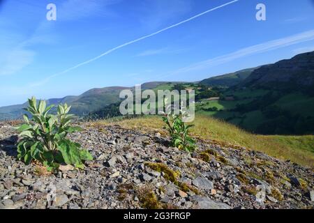 Castell Dinas Bran um 1260, auf dem Gelände eines bronzezeitalterlichen Hügels mit Blick auf den Llangollen mit Blick auf die Berwyn und die Clydian Ranges im Sommer. Stockfoto