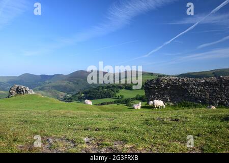 Castell Dinas Bran um 1260, auf dem Gelände eines bronzezeitalterlichen Hügels mit Blick auf den Llangollen mit Blick auf die Berwyn und die Clydian Ranges im Sommer. Stockfoto