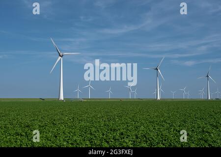 Windturbine aus der Luft, Blick auf die Drohne im Windpark ein Windmühlenpark im See IJsselmeer der größte in den Niederlanden, nachhaltige Entwicklung, erneuerbare Energien. Stockfoto