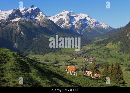 Wunderschöne Landschaft in der Nähe von Gstaad, Berner Oberland Stockfoto