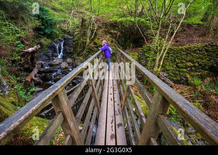 Beobachten Sie den Wasserfall von der Fußgängerbrücke über Cat Gill in Great Wood bei Derwent Water, Lake District, England Stockfoto