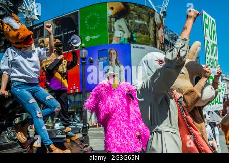 London, Großbritannien. Juni 2021. Stella McCartneys Herbst-2021-Kampagne ‘Unsere Zeit ist gekommen' auf den Piccadilly Lights, Piccadilly Circus. Um die Menschen zu ermutigen, die HSI-Petition für das freie Großbritannien zu unterzeichnen, organisierte Stella McCartney eine Guerilla-Versammlung mit Markenbotschaftern (ca. 20 - 30), die Tierköpfe trugen, ähnlich denen, die in der Herbstkampagne 2021 verwendet wurden, und forderte Passanten auf, die Petition der Humane Society für das freie Großbritannien zu unterschreiben. Kredit: Guy Bell/Alamy Live Nachrichten Stockfoto