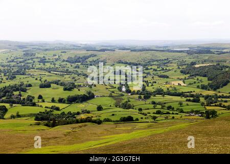 Felder rund um die Stadt Sedbergh in Cumbria, England. Sedbergh liegt im Yorkshire Dales National Park. Stockfoto