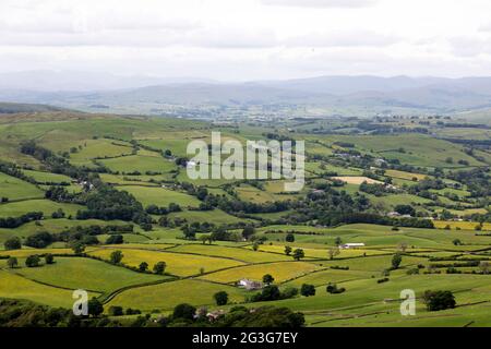 Felder rund um die Stadt Sedbergh in Cumbria, England. Sedbergh liegt im Yorkshire Dales National Park. Stockfoto