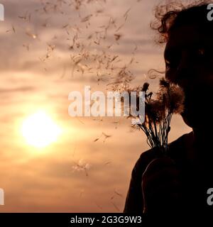 Silhouette einer Frau mit dem Dandelion in den Händen bei Sonnenuntergang, Sommerzeit. Stockfoto