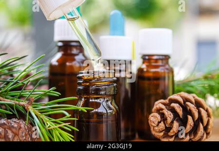 Zeder und ätherisches Öl in kleinen Glasflaschen auf hölzernen Hintergrund Fichte. Selektiver Fokus Stockfoto