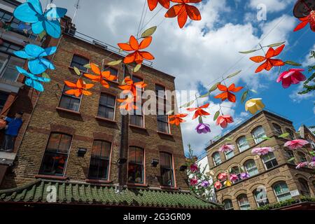 London, Großbritannien. 16. Juni 2021. Landlord Shaftesbury plc hat eine Installation des Botanischen Gartens über dem Kopf enthüllt, die den Himmel über der Londoner Gerrard Street in Chinatown verwandelt. Die Ausstellung ist von ruhigen Innenstadtgärten inspiriert, die in Ost- und Südostasien (ESEA) zu finden sind und zeigt sieben verschiedene Blumenarten, darunter chinesische Pfingstrosen, Pfirsichblüte und Orchideen. Das Display ist bis zum 31. August zu sehen. Kredit: Stephen Chung / Alamy Live Nachrichten Stockfoto