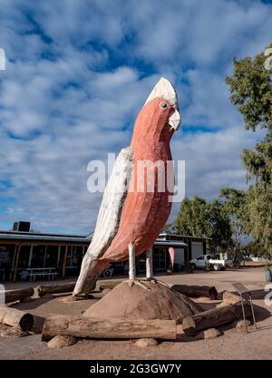 Kimba, South Australia, Australien: Der Big GALAH in Kimba markiert die Hälfte des australischen Punktes. Er ist 8 Meter hoch. Erbaut 19 Stockfoto