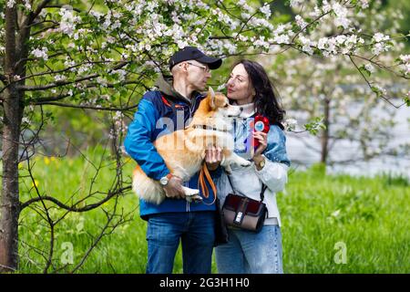 Russland. Vyborg. 05.05.2021 EIN Mann und eine Frau halten einen Hund der Corgi-Rasse in ihren Armen. Hochwertige Fotos Stockfoto