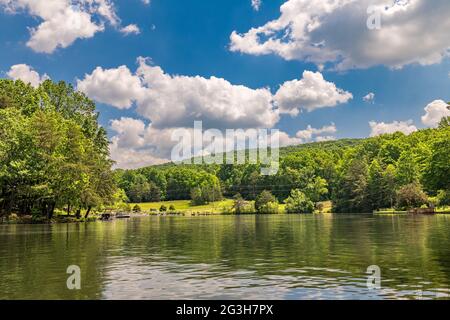 Das malerische Panorama des Lake Dartmoor in Tennessee zeigt eine sehr ruhige, glasige Seenoberfläche mit reichen, gesunden Eichen, die die Küste säumen. Stockfoto