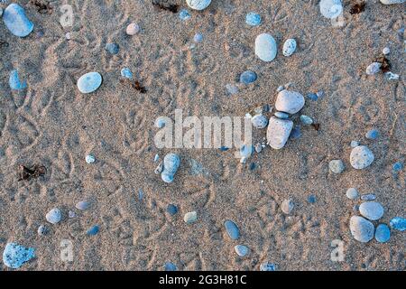 Hintergrund des Strandes - Sand, Steine und Vogelfußabdrücke Stockfoto