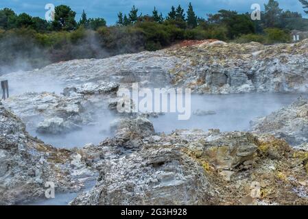 Foto des heißen Dampfes, der aus den Geothermie-Pools am Hells Gate, NZ, aufsteigt Stockfoto