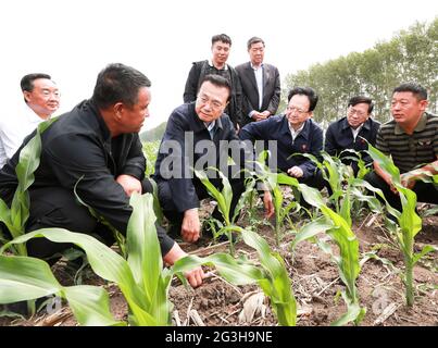 Changchun, Chinas Provinz Jilin. Juni 2021. Der chinesische Premierminister Li Keqiang, ebenfalls Mitglied des Ständigen Ausschusses des Politbüros des Zentralkomitees der Kommunistischen Partei Chinas, besucht Ackerland in Songyuan, nordöstlich der Provinz Jilin, am 15. Juni 2021. Von Dienstag bis Mittwoch machte Li eine Inspektionsreise zu den Städten Songyuan und Changchun in der nordöstlichen Provinz Jilin. Quelle: Pang Xinglei/Xinhua/Alamy Live News Stockfoto