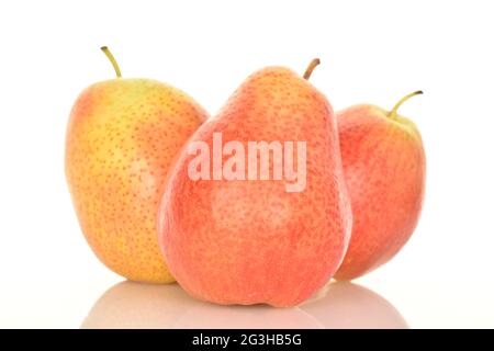 Drei gelb-rote Birnen, Nahaufnahme, auf weißem Hintergrund. Stockfoto