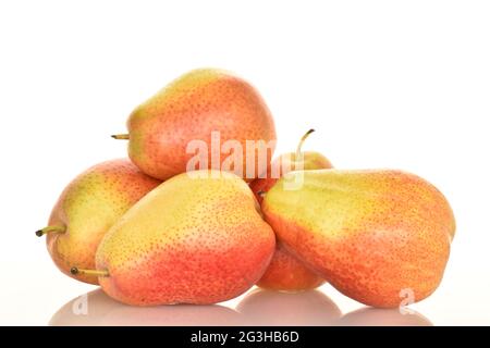 Mehrere gelb-rote Birnen, Nahaufnahme, auf weißem Hintergrund. Stockfoto