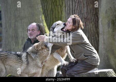 Derjenige, der mit den Wölfen lebt. Stockfoto