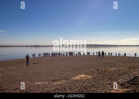 Menschen beobachten die Delfine am Chanonry Point im Moray Firth in der Nähe von Inverness, Schottland, Großbritannien Stockfoto