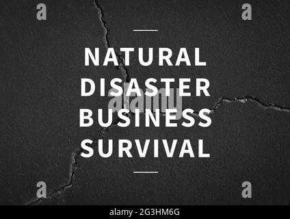 Zusammensetzung des Textes zum Überleben von Unternehmen im Katastrophenfall in Weiß über rissiger Wand Stockfoto