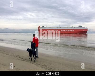 Ein Mann und ein Hund kommen an einem massiven Frachtschiff des Autoträgers in der Nähe von Brunswick, Georgia, dem drittgrößten roro, vorbei oder Rollen auf Rollen vom Handelshafen in den USA. Stockfoto