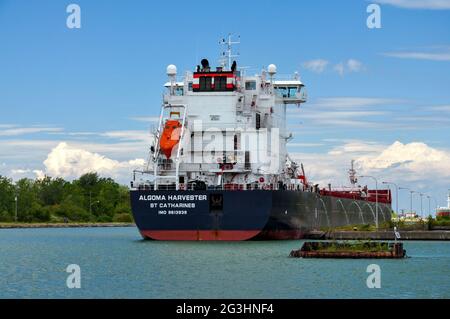 Lakers in der Nähe von Thorold, AM Welland Canal, Teil des St. Lawrence Seaway und des Great Lakes Waterway. Stockfoto