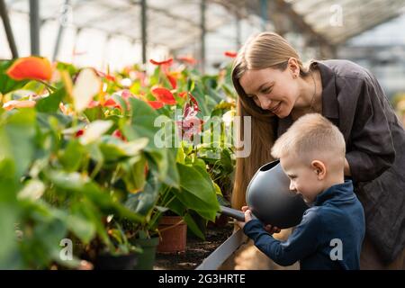 Mama hilft ihrem Sohn, Blumen im Gewächshaus zu gießen Stockfoto