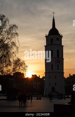 Kathedrale Von Vilnius Belfried Silhouette Stockfoto