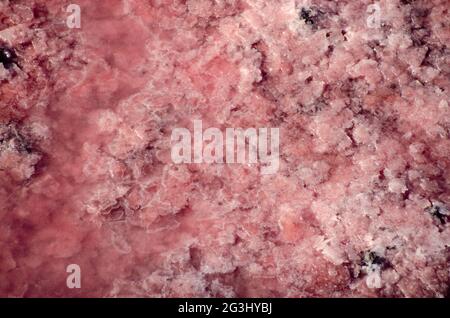 Die Oberfläche eines rosa gesalzenen Sees mit Salzkristallen. Rote lebende Bakterien in Salzwasser. Extraktion von Salz mit natürlichen Mitteln. Natürlicher natürlicher Hintergrund Stockfoto