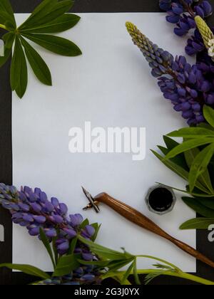Vorlage für einen kalligrafischen Brief mit Lupinenblumen, Stift und Tinte Stockfoto