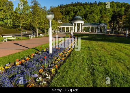 Marianske Lazne, Tschechische Republik - Mai 30 2021: Blick auf den weißen Pavillon der Mineralquelle. Grüner Rasen und buntes Blumenbeet im Vordergrund. Stockfoto
