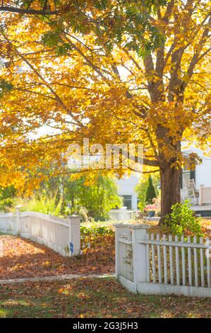 Village of Center Sandwich im Herbst, Sandwich, New Hampshire, USA Stockfoto