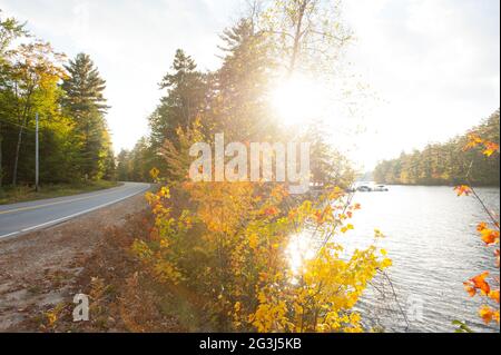 Squam Lake im Herbst, Squam Lake Road, Center Sandwich, New Hampshire, USA Stockfoto