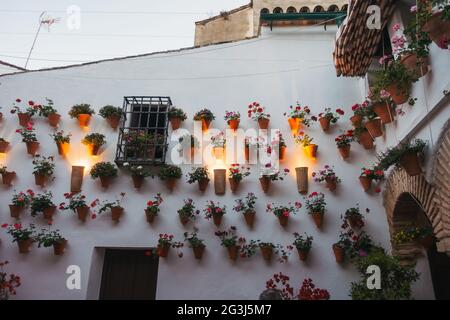 Topfpflanzen bedecken die Innenhöfe (Patios) von Wohnhäusern in Córdoba, Spanien, die im Rahmen des Patio Festivals einmal im Jahr der Öffentlichkeit zugänglich gemacht werden Stockfoto