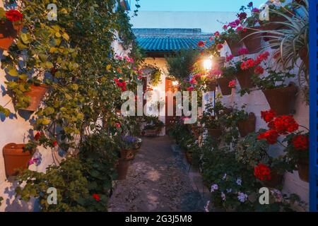 Topfpflanzen bedecken die Innenhöfe (Patios) von Wohnhäusern in Córdoba, Spanien, die im Rahmen des Patio Festivals einmal im Jahr der Öffentlichkeit zugänglich gemacht werden Stockfoto