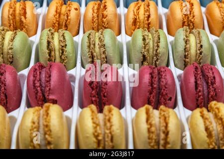 Verschiedene bunte Makronen in weißem Kunststoffetui. Stockfoto