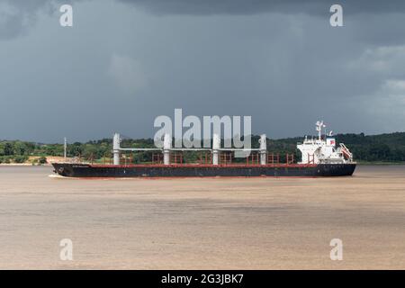 Bulk Carrier Ever Gallant, segelt auf dem Amazonas, Santarem, Brasilien, mit tropischen Regenwald im Hintergrund Stockfoto