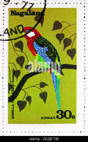 MOSKAU, RUSSLAND - 17. APRIL 2021: Briefmarke in Cinderellas zeigt Rosella, Nagaland Serie, um 1977 Stockfoto