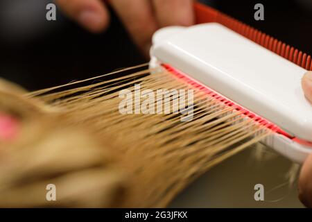 Keratin Recovery Haar-und Protein-Behandlung Stapel mit Ultraschall-Eisen-Tool. Stockfoto