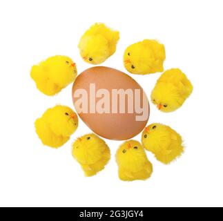 Osterküken, die ein großes Ei umzingeln Stockfoto