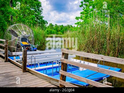 Ein Luftschiff ist an der Gulf Coast Gator Ranch and Tours, 12. Juni 2021, in Moss Point, Mississippi, angedockt. Stockfoto