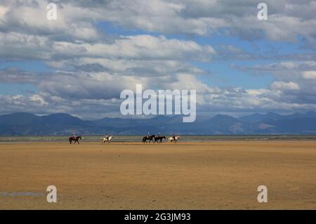 Pferd-Wohnwagen im Abel Tasman National Park Stockfoto