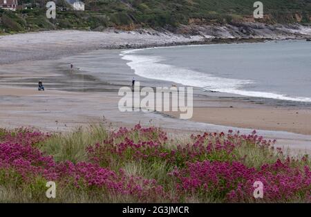 Blick auf den Strand von Port Eynon in Südwales, der Teil der Gower Peninsula ist, die bei Urlaubern beliebt ist. Stockfoto