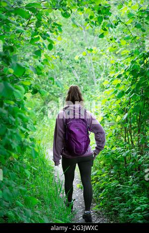 Wandern Sie durch die Berge von Santa Cruz in Kalifornien, aufgenommen mit dem Sony A7RIV 61mp hochauflösende Fotos. Viel Spaß. Stockfoto