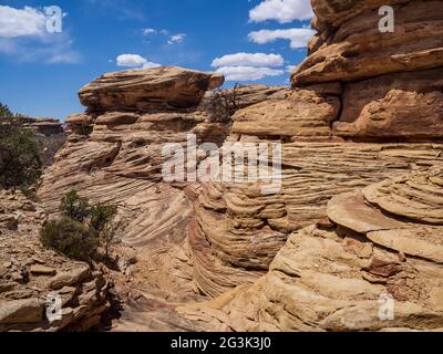Formationen entlang des Confluence Trail, Needles District, Canyonlands National Park, Utah. Stockfoto