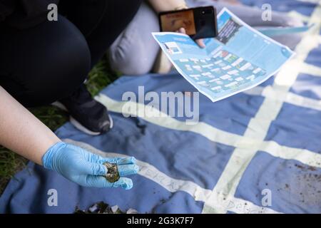 Ein Student durchsibt Abfälle, die in der Nähe des Flusses Kokra in Kranj, Slowenien, gefunden wurden, während lokale Schulkinder an den Plastic Pirates - Go Europe teilnehmen! Das internationale Projekt Plastic Pirates - Go Europe! Ist eine internationale Citizen Science-Kampagne, die von den Ministerien für Bildung, Wissenschaft und Forschung in Deutschland, Portugal und Slowenien gestartet wurde und während ihrer Trio-Präsidentschaft im Rat der Europäischen Union stattfindet. Sie fordert Kinder und Jugendliche im Alter von 10 bis 16 Jahren auf, Abfälle, insbesondere Plastikabfälle in und in der Nähe von Gewässern, zu untersuchen. Stockfoto