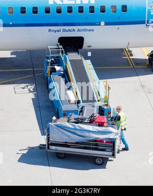 AMSTERDAM, Niederlande - 17. August 2016: Laden Gepäck im Flugzeug am Amsterdamer Flughafen Schiphol, Niederlande am 17. August 2 Stockfoto