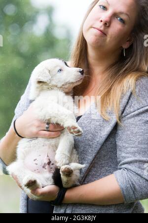 Kleiner Border Collie Welpe mit blauem Auge in den Armen einer Frau Stockfoto