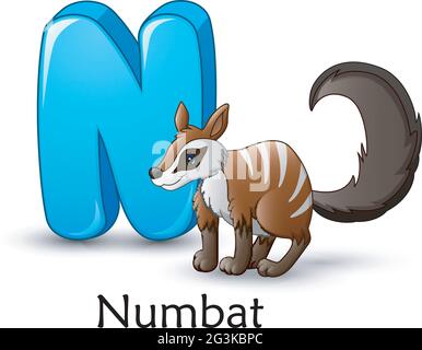 Der Buchstabe N steht für das Zeichentrickalphabet Numbat Stock Vektor