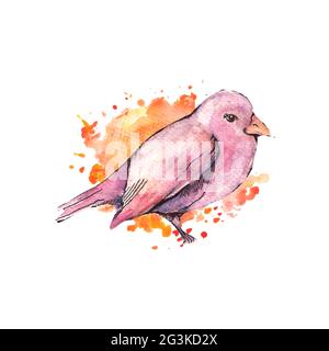 Illustration eines handgezeichneten Vogels, Aquarell-Stil Stockfoto